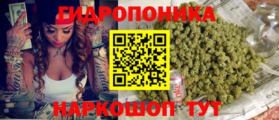 соль ск Аша
